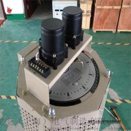 40KVA大功率接触式调压器，TSGC2自耦调压器