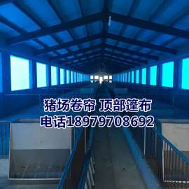 河南省大型畜牧养殖场专用篷布猪场卷帘布 抗老化牛场卷帘布厂家热售