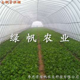 供应全钢管拱棚 春秋棚 全钢管拱棚价格