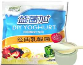 益菌加 家用经典乳酸菌 酸奶菌粉 酸奶发酵剂 益生菌 菌种
