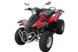 沙滩车（TL250C）EEC认证