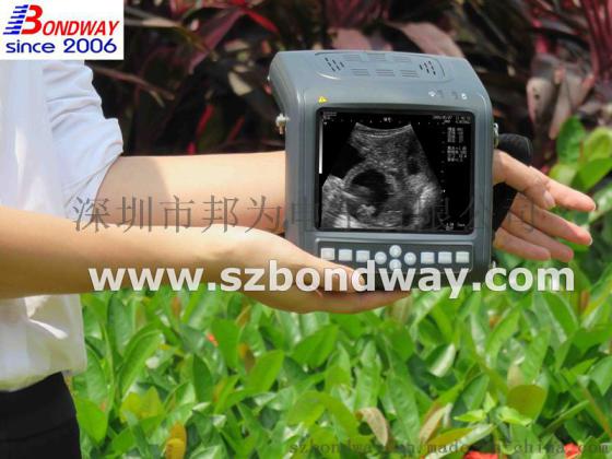 深圳邦为BW560V低价供应便携式兽用医疗设备 宠物B超 繁育检测仪 兽用B超