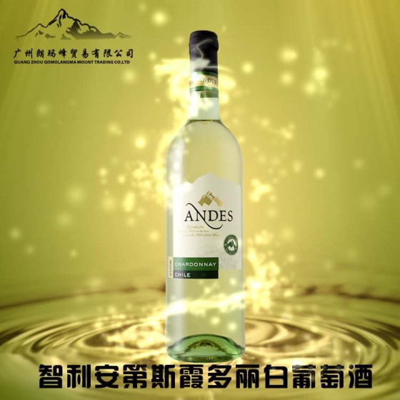智利安第斯霞多丽白葡萄酒T-0160018