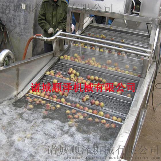 厂家直销顺泽牌蔬菜气泡清洗机 叶类清洗机 连续式清洗加工成套设备