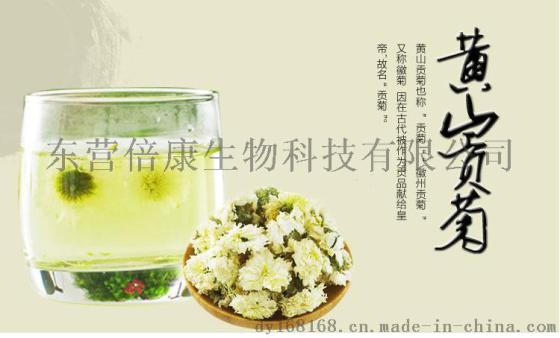 雪菊玫瑰花茶袋泡茶加工 玫瑰花茶养生保健茶包代加工