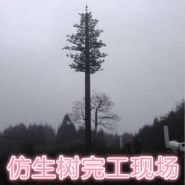 优质通信塔、景观塔、美化塔、仿生塔、一体化机房