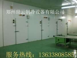 专业设计安装 蔬菜保鲜冷库 大中小型冷库 专注制冷 冷库专家