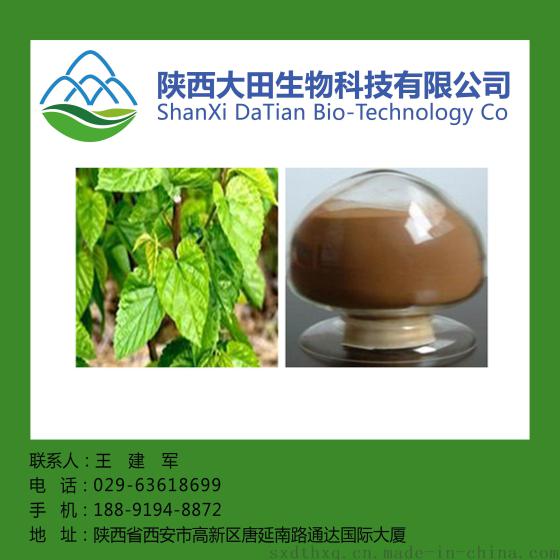 厂家直供桑白皮提取物10:1