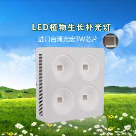 大棚补光灯 深圳植物生长灯工厂 多肉植物补光灯 批发 400W COB