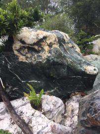 泰山石 精品泰山石 景观石 广东泰山石