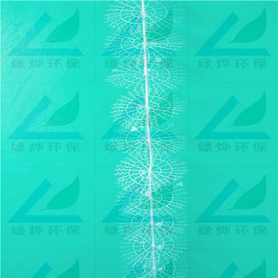 半软性生物填料/半软性填料