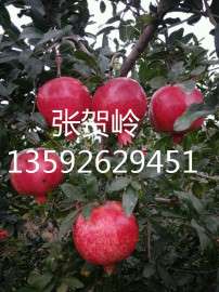 超甜新鲜水果软籽石榴 红软石榴