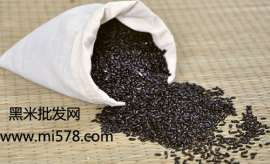 黑米批发价格行情--黑米批发网 厂家直供黑米价格