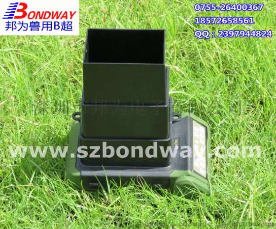专业厂家直销 BW570V 兽用B超 动物医疗器械 畜牧医疗