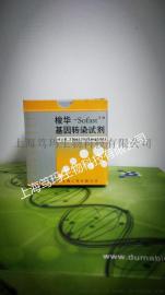 人促血管生成素1(ANG1)酶联免疫试剂盒