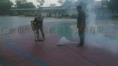 广州番禺灭鼠除四害根治室内老鼠多负责上门清理老鼠