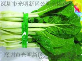 东莞市蔬菜配送职工食堂承包望牛墩送菜网公司