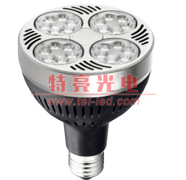特亮光电28W普及款PAR30LED帕灯