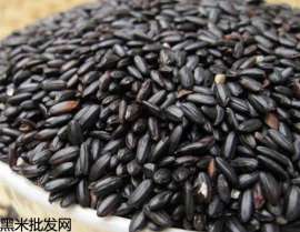 真正的黑米产地供应大宗黑米批发网厂家直供优质黑米批发价格