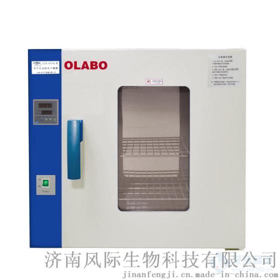 现货直销医用鼓风干燥箱