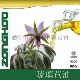 琉璃苣油 生产厂家 最小起订量200公斤