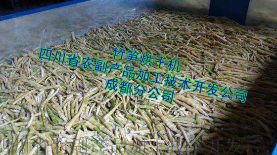 南川楠竹笋烘干机，宜宾楠竹笋干烘干机，遵义楠竹笋快速烘干机