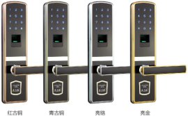 指纹密码锁防盗电子门锁R-600