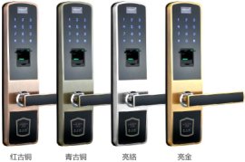 指纹密码锁防盗电子门锁R-610