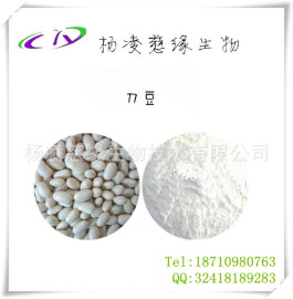 刀豆提取物 10: 1 比例提取物 纯天然刀豆提取物