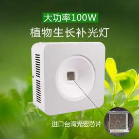 厚屹led植物灯大棚补光灯深圳植物生长灯工厂 多肉植物补光灯 批发单孔100W COB