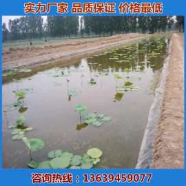 0.5mm藕池防渗膜价格 养殖防渗膜专用