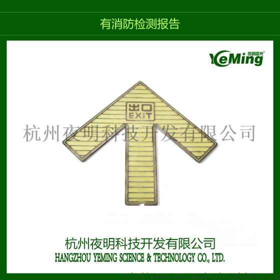 消防安全自发光地铁发光标志 夜明珠地铁 荧光地标