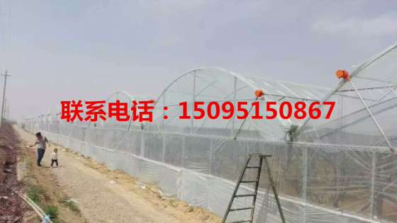 甘肃建造薄膜连栋温室最权威的厂家