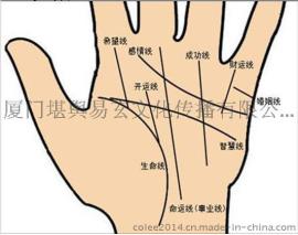 面相大师教你如何看手相