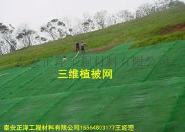 三维植被网国标非标厂家现货质优价廉