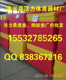 海兴县活力体育器材厂国内热卖标准规格柔道垫制作中心