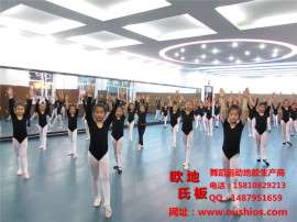 舞蹈房专用地胶品质一流多年施工经验安全可靠