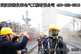 火炬点火系统 点火系统 火炬系统 选海韵仪表 积26年放散点火研发经验