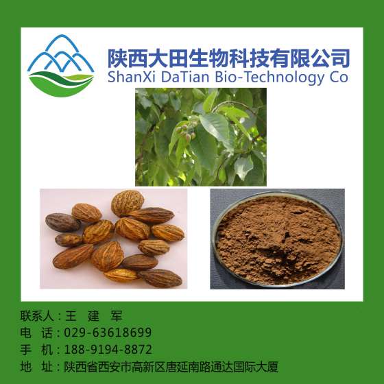 诃子提取物10: 1 5: 1 现货诃子提取物10: 1 5: 1 热销诃子提取物10: 1 5: 1