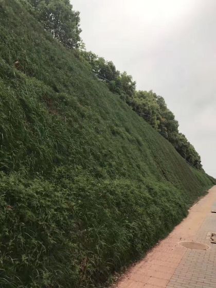 高次团粒边坡绿化专用土壤团粒剂厂家销售