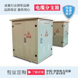 厂家 欧式电缆分接箱 户外开闭所