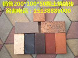 全国销售建菱牌200*100*40防火耐磨防滑陶土烧结砖