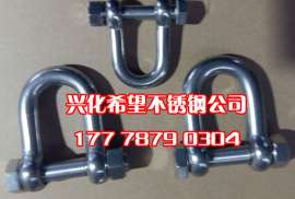 不锈钢带螺母D型卸扣