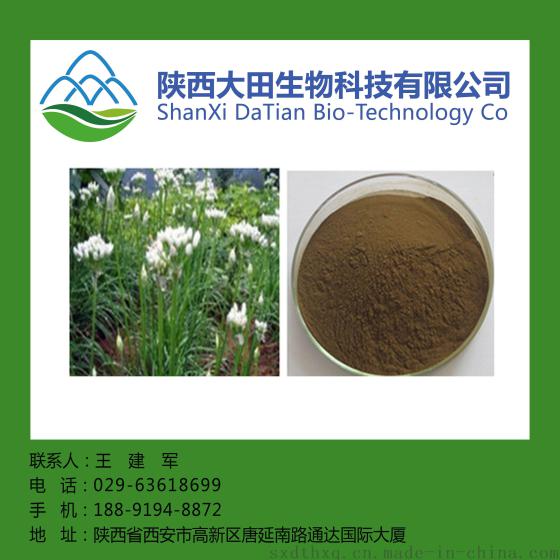 厂家现货韭菜籽提取物10: 1 5: 1