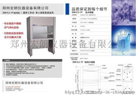 SW-CJ-1F单人双面/垂直送风超净工作台