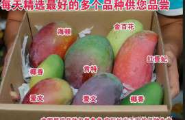 百汇良果 优质攀枝花芒果