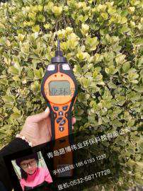 英国离子PCT-LB-07原装进口voc检测仪