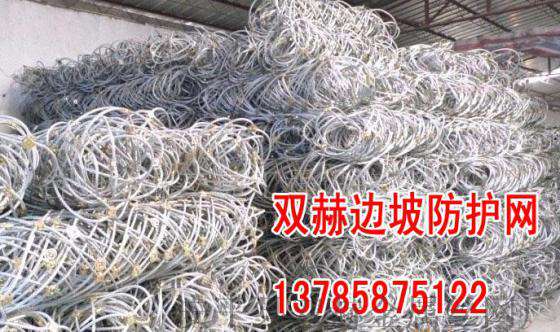 主动边坡防护网¥ 落石防护网 ¥钢丝绳网厂家