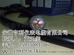 变频电缆BPYJVP2-10KV林洋新能
