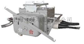 FZW28-12断路器步捷电器供应FZW28-12